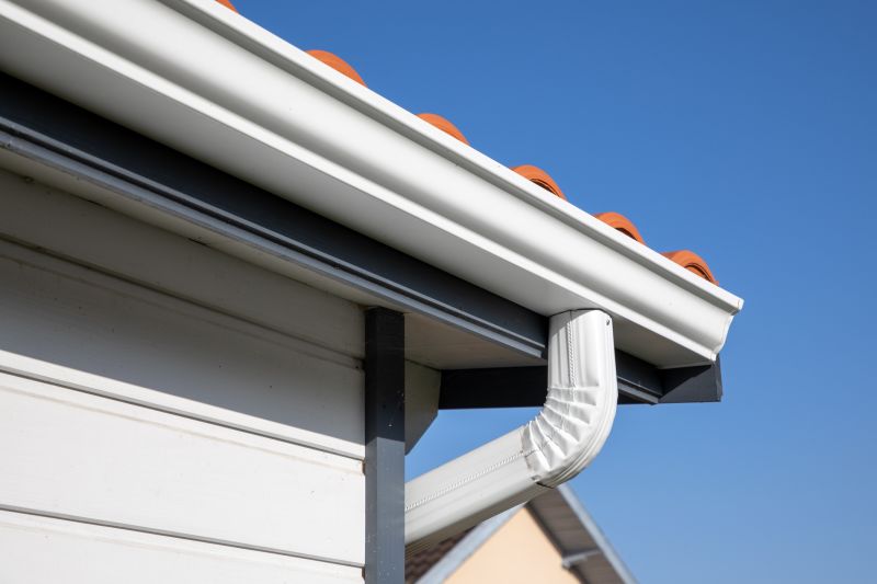 Gutter Service detail