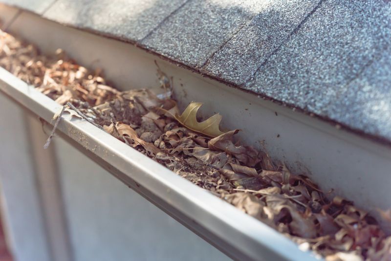 Clogged Gutter Blockage