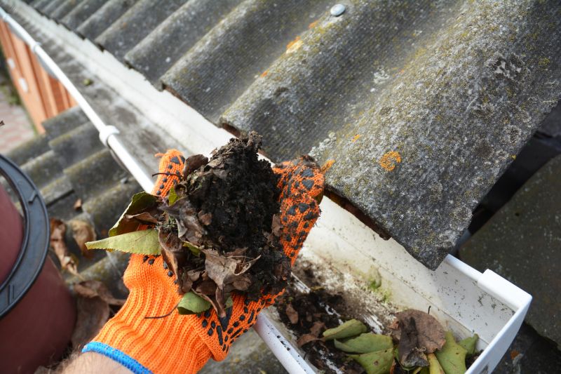 Seasonal Gutter Maintenance
